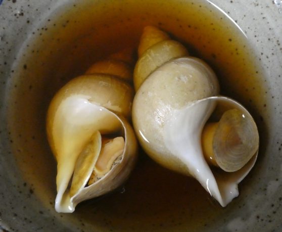 バイ貝の下処理は 毒やゆで方 食べ方についても詳しく解説 つぶやきブログ