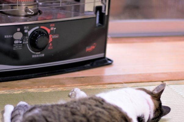 石油ストーブをつけっぱなしで外出したら火事になる 消し忘れを防止するには つぶやきブログ