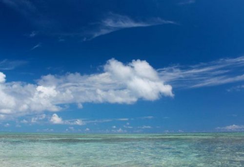 幼稚園の先生に暑中見舞いの返事を出す 文例や宛名の書き方を解説 つぶやきブログ